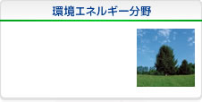 環境エネルギー分野